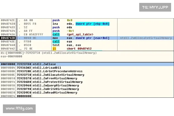 RansomHub 勒索病毒的起源揭示 RansomHub 勒索病毒的起源揭示